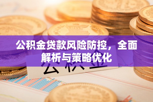 永仁公积金贷款风险防控，全面解析与策略优化
